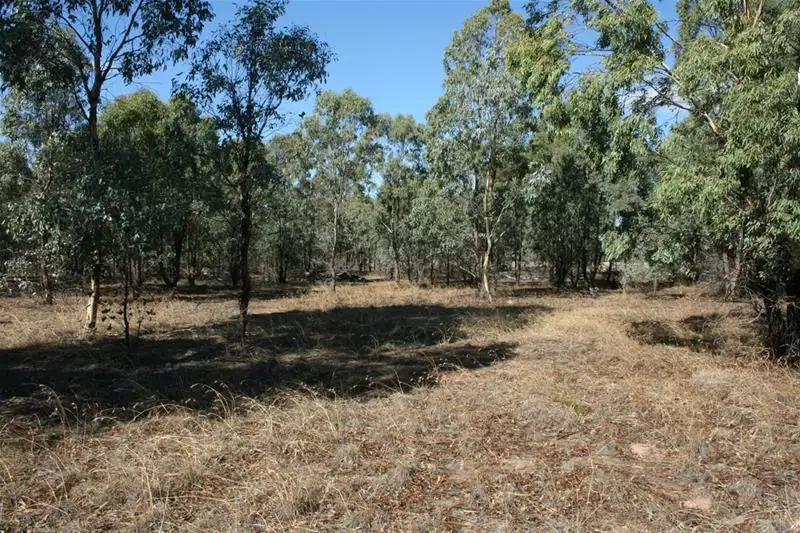 Main view of Homely rural property listing, 95 Martins Lane, Illawarra VIC 3381