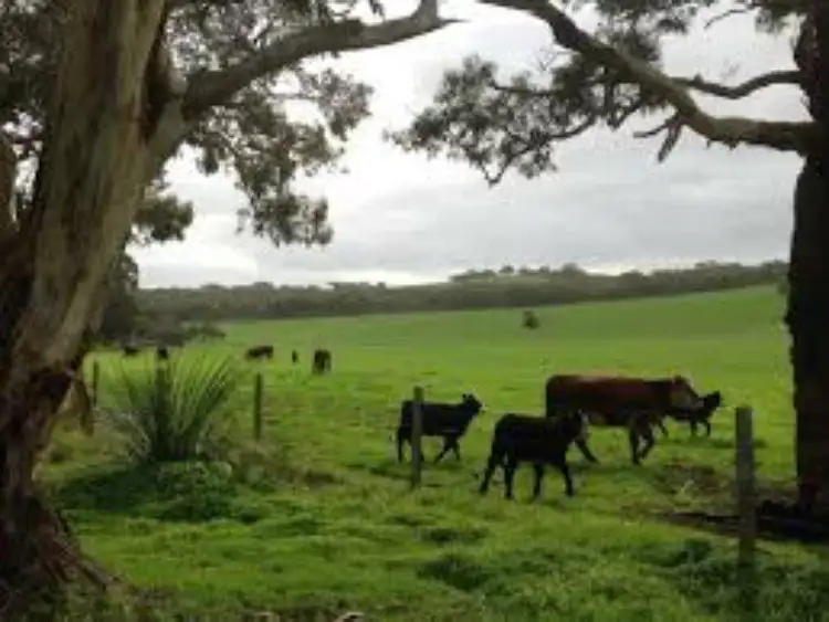 Second view of Homely land listing, 113 Desmond Road, Wattle Bank,, Inverloch VIC 3996