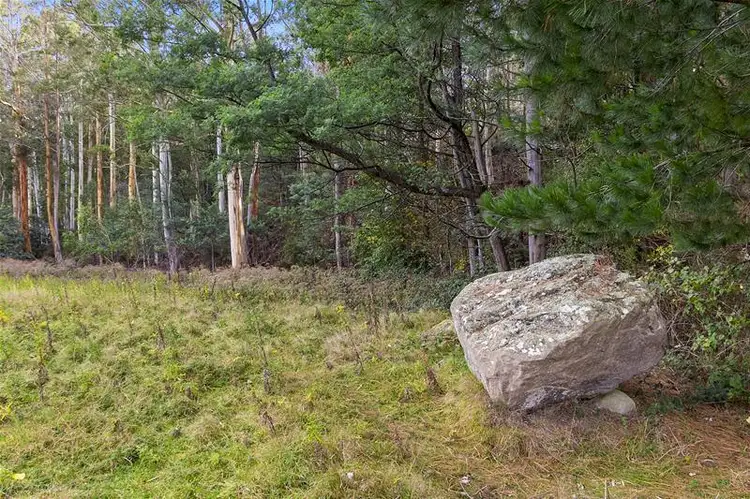 Second view of Homely land listing, RA Wattle Hill Road, Mountain River TAS 7109