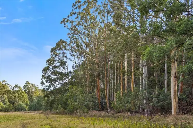 Fourth view of Homely land listing, RA Wattle Hill Road, Mountain River TAS 7109