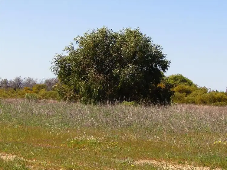 Third view of Homely land listing, LOT 29/50 (L29) River Loop, Jurien Bay WA 6516