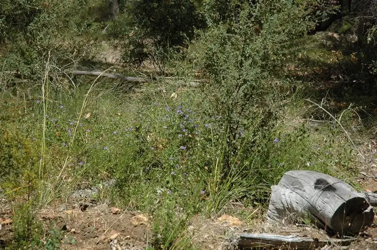 Seventh view of Homely land listing, 95 Leworthy Loop, Karragullen WA 6111