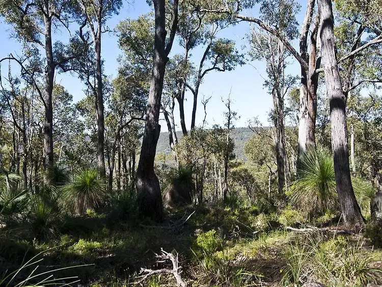 Third view of Homely land listing, 15 High Road, Roleystone WA 6111