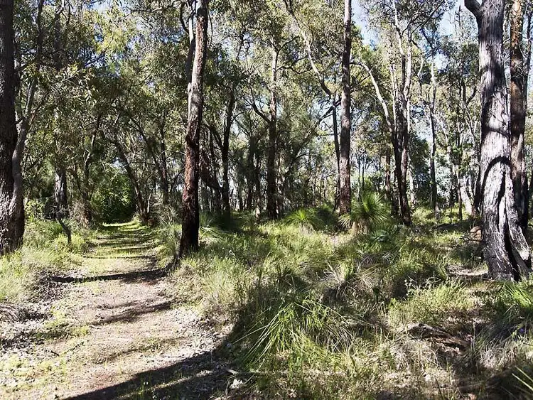 Seventh view of Homely land listing, 15 High Road, Roleystone WA 6111
