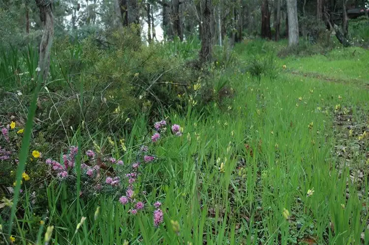 Seventh view of Homely land listing, 808 Moseri Road, Roleystone WA 6111