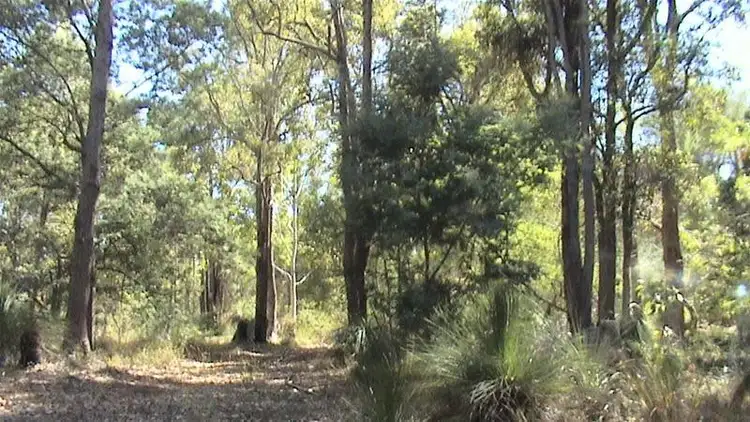 Main view of Homely land listing, LOT 202/12b Hawkins Road, Roleystone WA 6111
