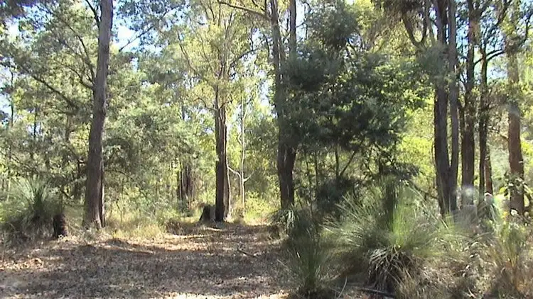 Fourth view of Homely land listing, LOT 202/12b Hawkins Road, Roleystone WA 6111