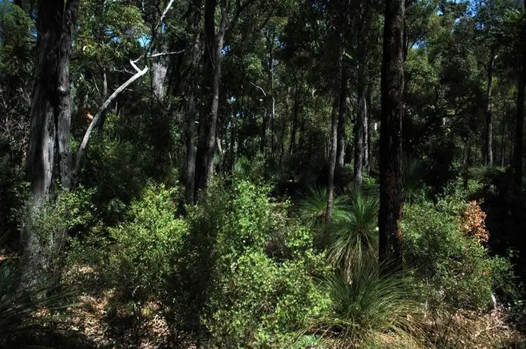 Second view of Homely land listing, 13 Salicina Gardens, Roleystone WA 6111