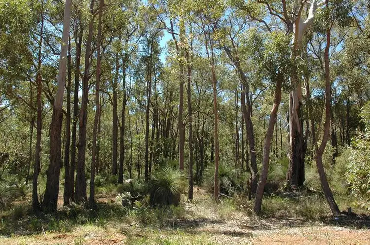 500 Costata Cove, Roleystone WA 6111