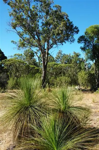Third view of Homely land listing, 54A Raeburn Road, Roleystone WA 6111