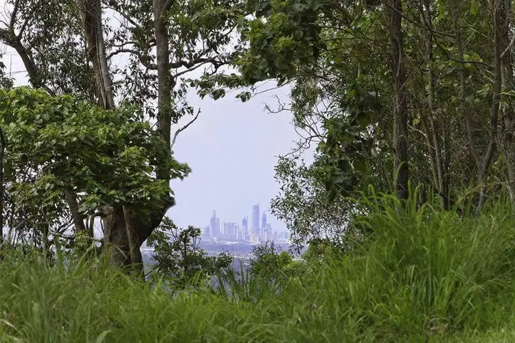 Main view of Homely land listing, 9/463 Trees Road, Tallebudgera QLD 4228