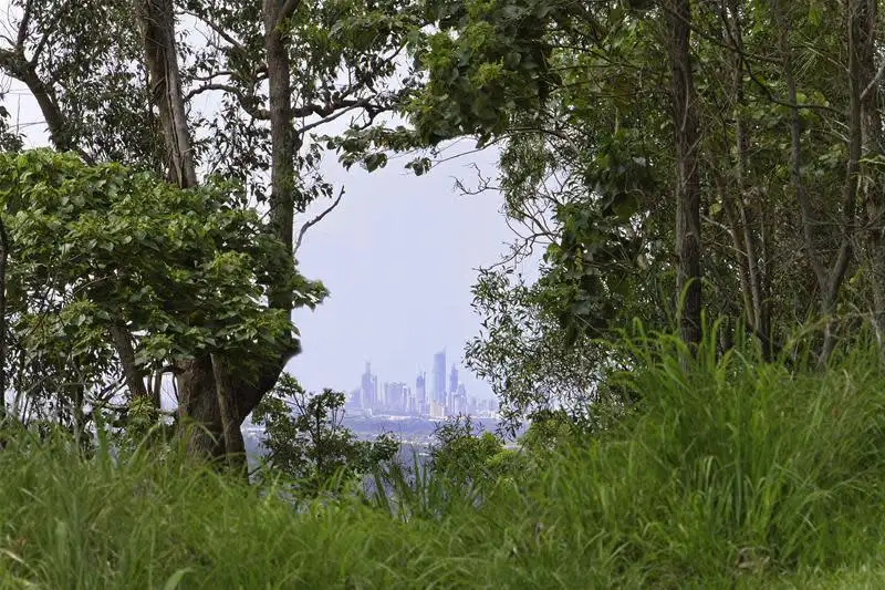 Main view of Homely land listing, 9/463 Trees Road, Tallebudgera QLD 4228