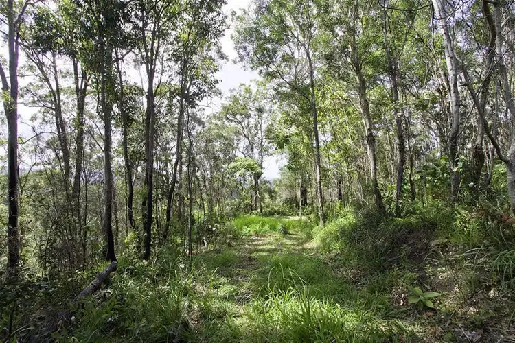 Third view of Homely land listing, 9/463 Trees Road, Tallebudgera QLD 4228