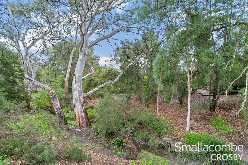Main view of Homely house listing, 58 Xavier Street, Highbury SA 5089
