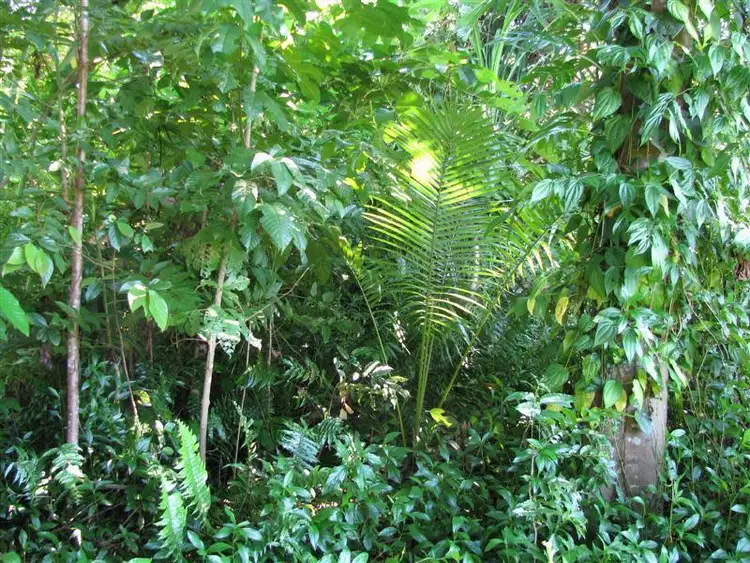 Fourth view of Homely land listing, Address available on request