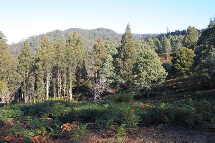 Sixth view of Homely land listing, 206220/1 Bakers Creek Road, Lucaston TAS 7109