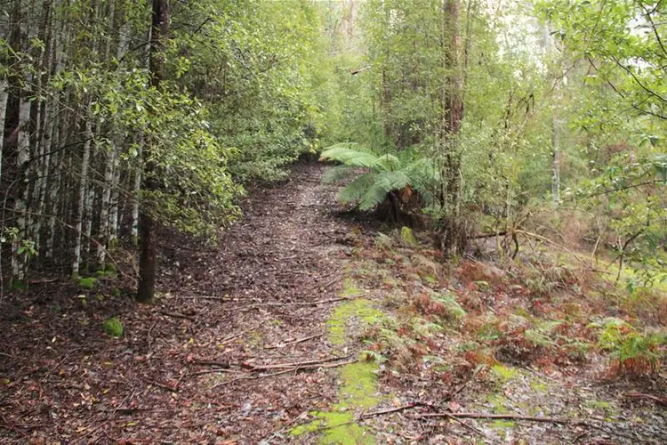 Seventh view of Homely land listing, 357 Donnellys Road, Geeveston TAS 7116