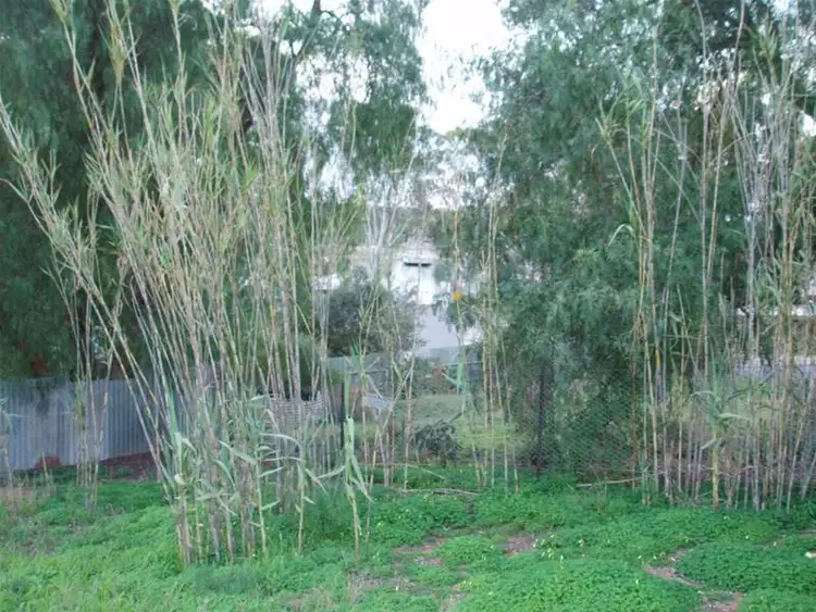 Third view of Homely land listing, 23 Anzac Avenue, Swan Reach SA 5354