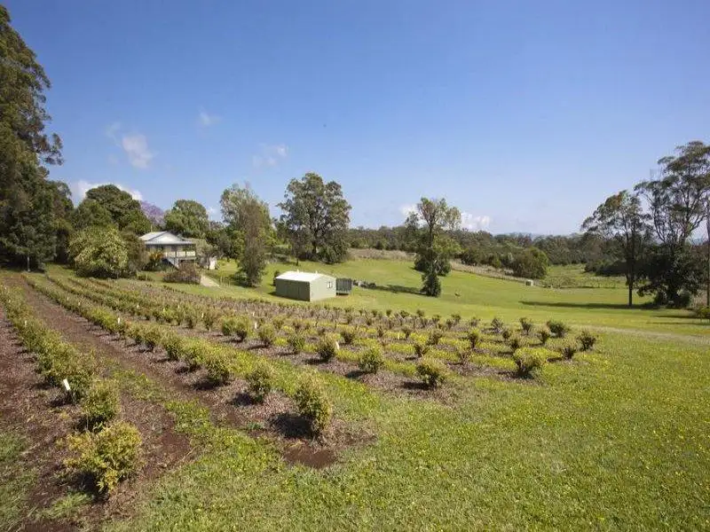 Main view of Homely house listing, 1238 Bruxner Highway, Wollongbar NSW 2477
