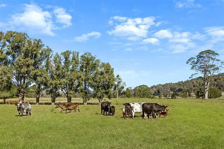 Second view of Homely land listing, 351 Jilliby Road, Jilliby NSW 2259
