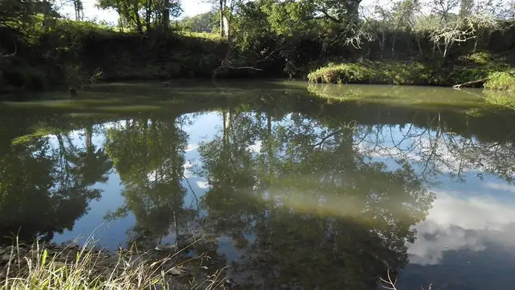 Seventh view of Homely rural property listing, 683 Doon Doon Road, Doon Doon NSW 2484