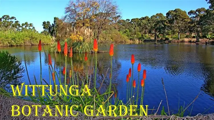 Sixth view of Homely land listing, 287 Shepherds Hill Road, Eden Hills SA 5050