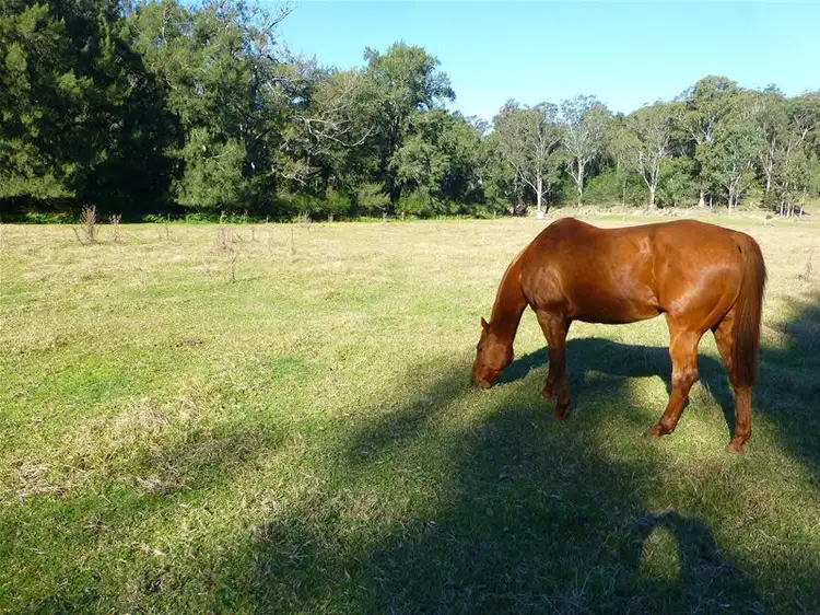 LOT 15/15 Old Bolaro Road, Nelligen NSW 2536
