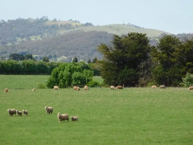 Lot 1,  267 Tickawarra Road, Romsey VIC 3434