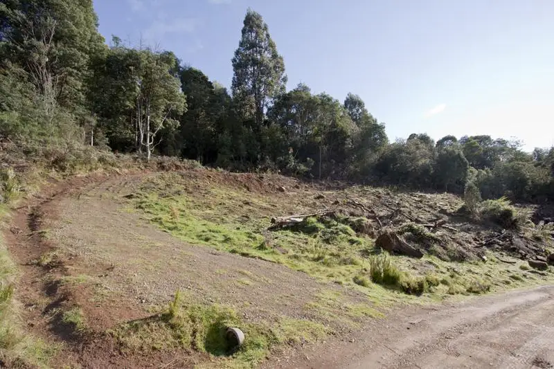 Main view of Homely land listing, 37 Paddys Lane, Franklin TAS 7113
