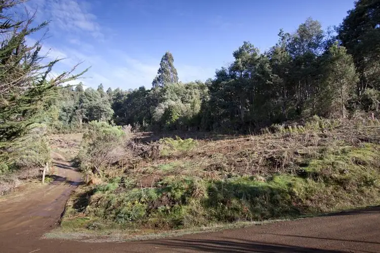 Second view of Homely land listing, 37 Paddys Lane, Franklin TAS 7113
