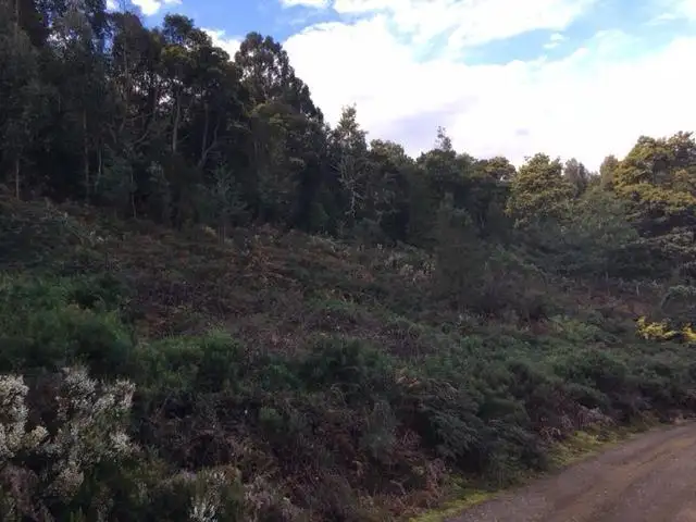Seventh view of Homely land listing, 37 Paddys Lane, Franklin TAS 7113
