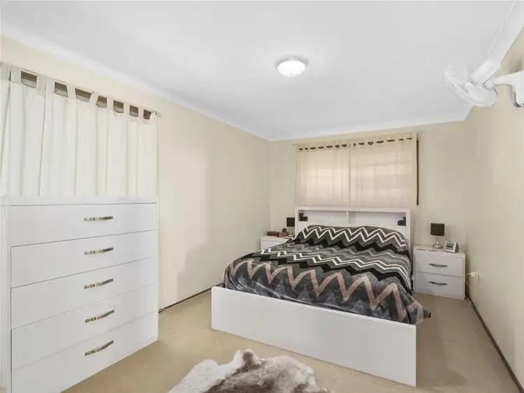 Sixth view of Homely house listing, 19 Colvillea Court, Palm Beach QLD 4221