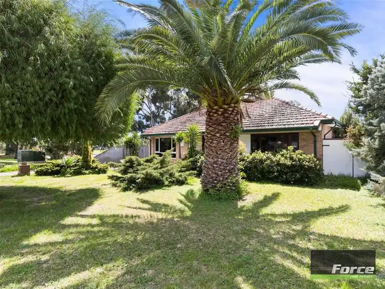 Fifth view of Homely house listing, 5 Seaforth Road, Balcatta WA 6021