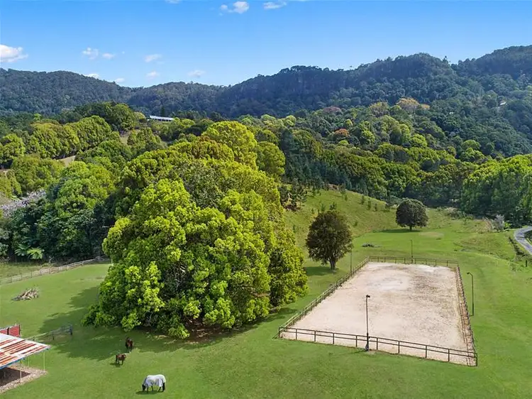 Third view of Homely house listing, 1186 Currumbin Creek Road, Currumbin Valley QLD 4223