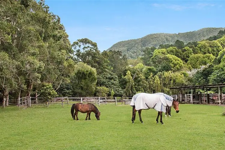 Fifth view of Homely house listing, 1186 Currumbin Creek Road, Currumbin Valley QLD 4223
