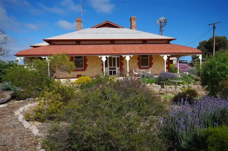 Main view of Homely house listing, 623 Gun Club Road, Koolywurtie SA 5575
