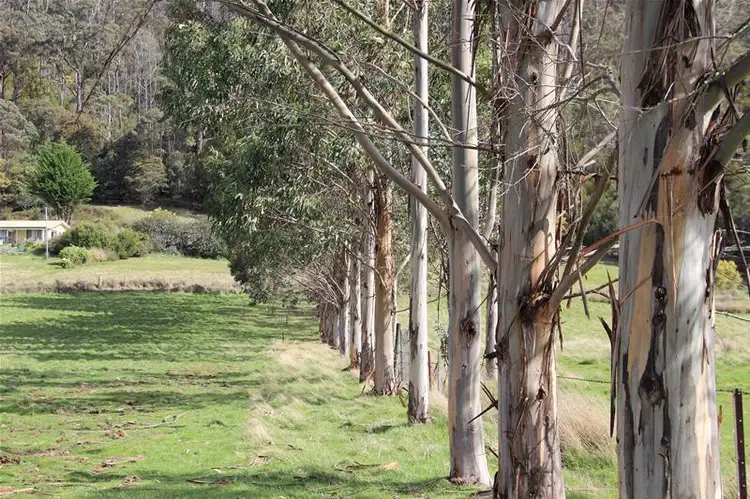 Fourth view of Homely land listing, 1 Lonnavale Road, Lonnavale TAS 7109