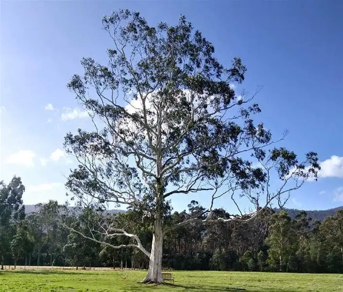 Seventh view of Homely land listing, 1 Lonnavale Road, Lonnavale TAS 7109
