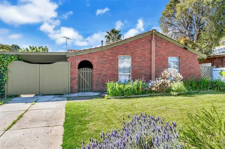 Main view of Homely house listing, 3 McCartney Street, Morphett Vale SA 5162
