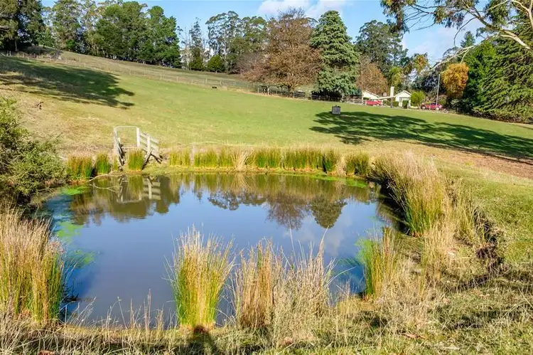 Third view of Homely house listing, 6402 Channel Highway, Randalls Bay TAS 7112