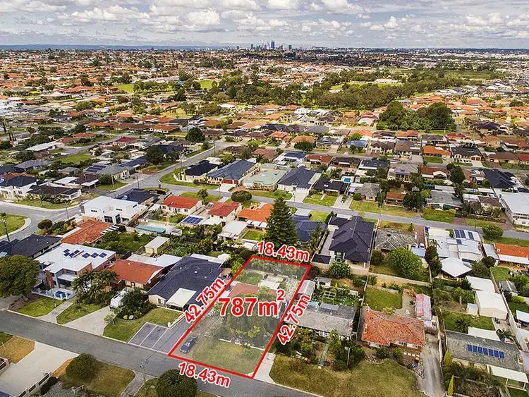Main view of Homely house listing, 10 Donnington Road, Balcatta WA 6021