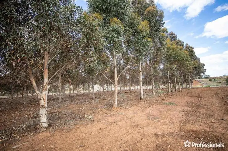 Sixth view of Homely rural property listing, 59 Paces Lane, Rowsley VIC 3340
