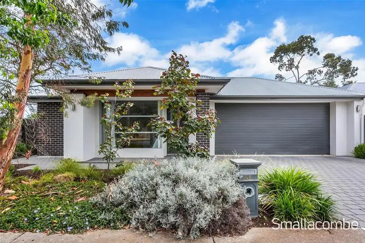 61 Weaver Street, Edwardstown SA 5039