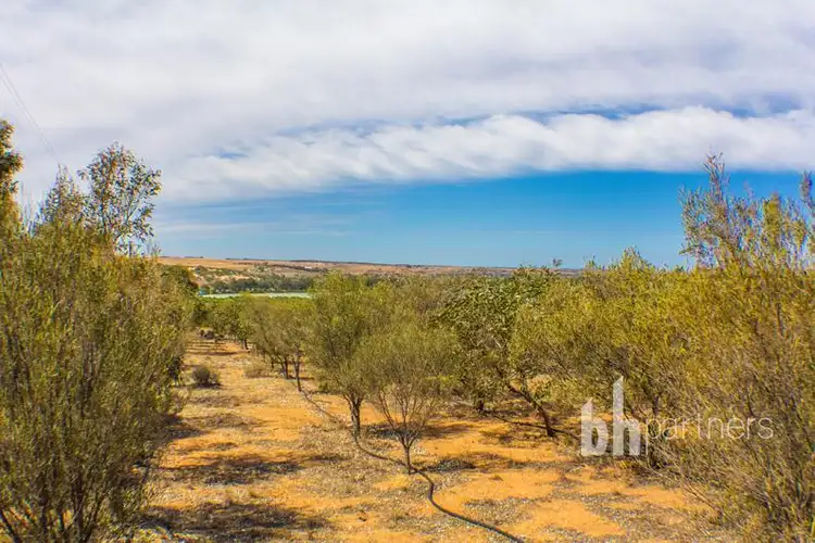 Fifth view of Homely land listing, 28 Shearer Heights Road, Mannum SA 5238