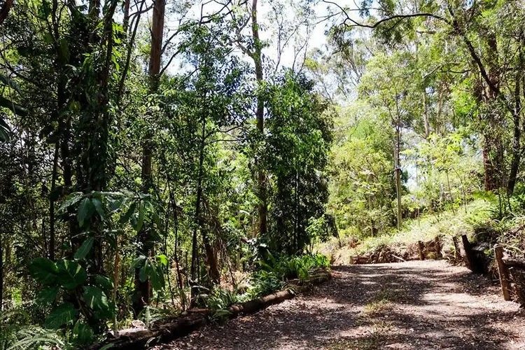 Main view of Homely land listing, 4 Cheshire Grove, Elanora QLD 4221