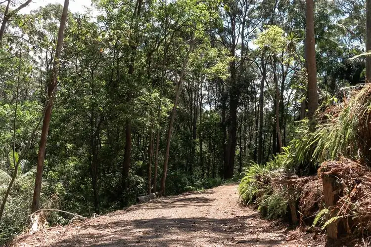 Sixth view of Homely land listing, 4 Cheshire Grove, Elanora QLD 4221