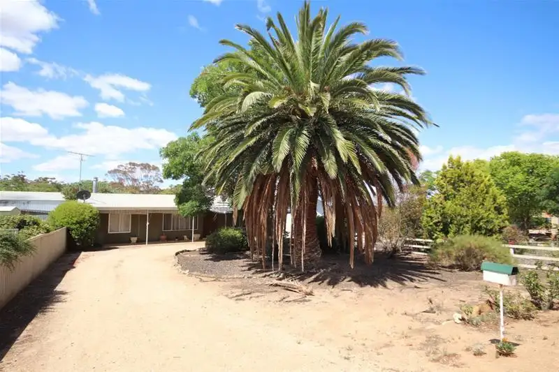 Main view of Homely house listing, 17 Queen Mary Street, Mannum SA 5238