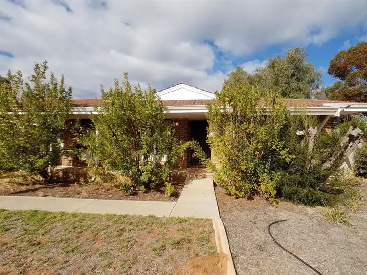 Second view of Homely house listing, 16 Mildura Street, Norseman WA 6443