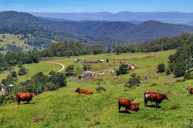 Sixth view of Homely house listing, 26 Hayters Road, Natural Bridge QLD 4211