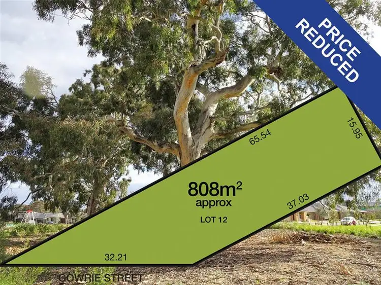 12 Gowrie Street, Torrens Park SA 5062